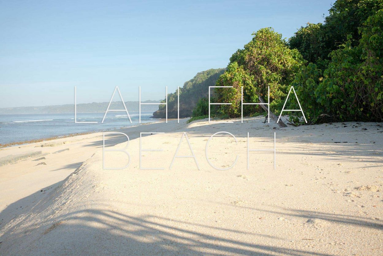 Land for sale Lahieha beach sumba