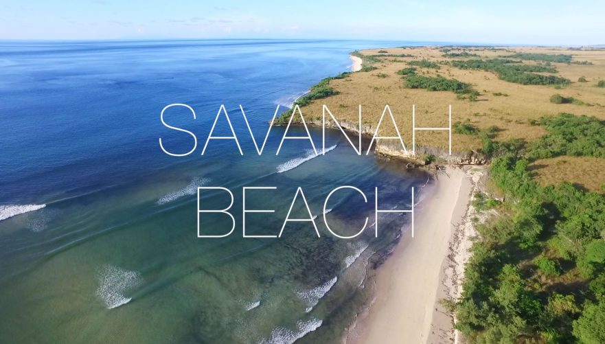 SUMBA-LAND-SAVANAH-BEACH-0