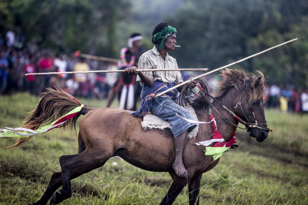 pasola festival sumba horse